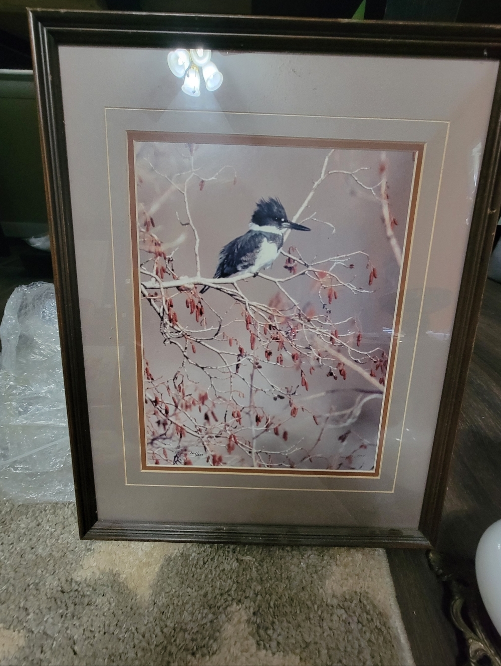 Signed Thomas Mangelten Photography Of The Kingfisher Bird